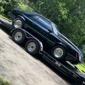 Meet your Posher, Gavin